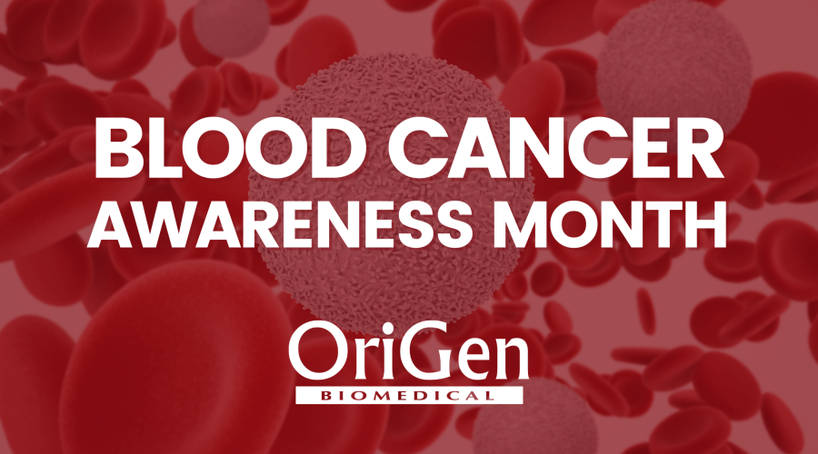 Blood Cancer Awareness Month 2022