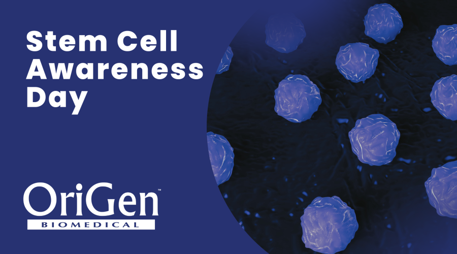 stem cell awareness day 2023